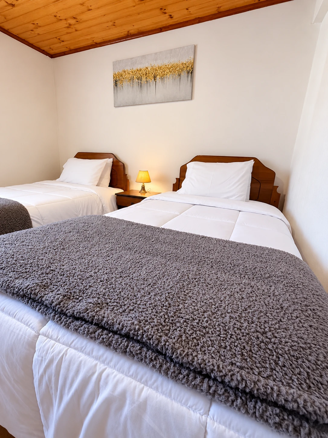 Habitación doble de Hotel Vidal con dos camas separadas